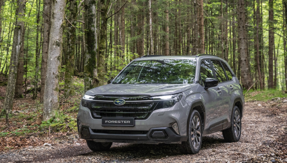 25my forester image 62